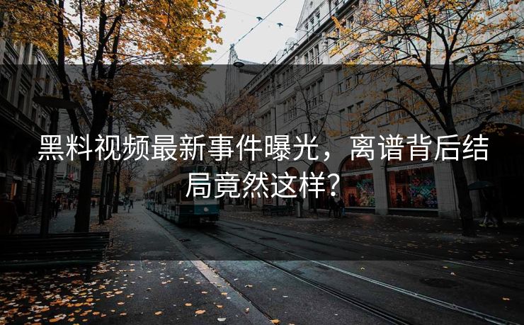 黑料视频最新事件曝光，离谱背后结局竟然这样？  第1张