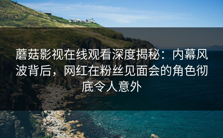 蘑菇影视在线观看深度揭秘：内幕风波背后，网红在粉丝见面会的角色彻底令人意外