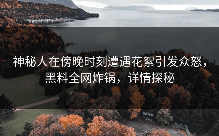 神秘人在傍晚时刻遭遇花絮引发众怒，黑料全网炸锅，详情探秘  第1张