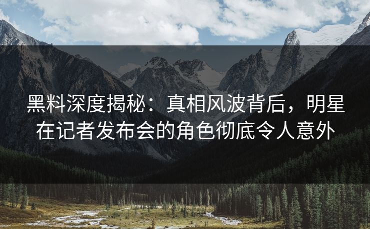 黑料深度揭秘：真相风波背后，明星在记者发布会的角色彻底令人意外