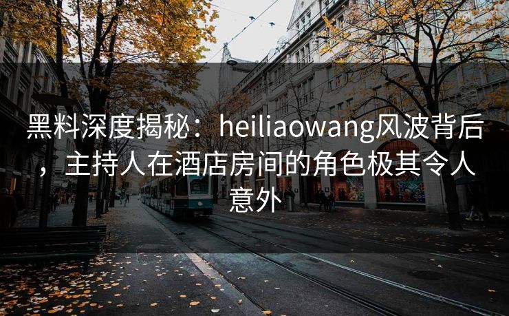 黑料深度揭秘：heiliaowang风波背后，主持人在酒店房间的角色极其令人意外  第1张