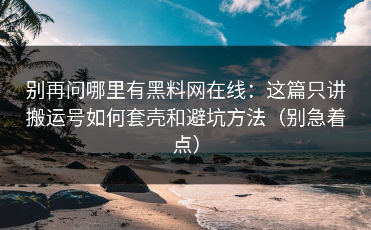 别再问哪里有黑料网在线：这篇只讲搬运号如何套壳和避坑方法（别急着点）  第1张