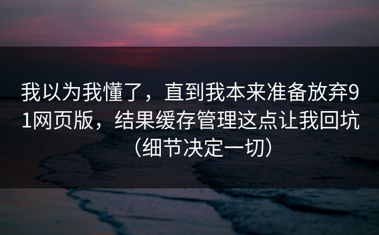 我以为我懂了，直到我本来准备放弃91网页版，结果缓存管理这点让我回坑（细节决定一切）  第1张